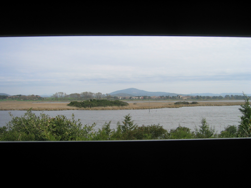 OASI WWF LAGO DI BURANO